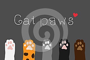 Cat paws Wallpaper, legs, dog paw, cat background, kitten flat design, print, cartoon, cute cat legs Wallpaper